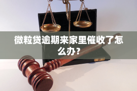 邵东贷款清欠服务